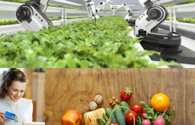 AI-Driven Software: Transforming Farming, E-Commerce, and Retail for the Future