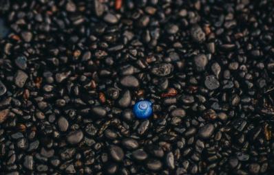Data-Driven Personalization: Enhancing Customer Engagement with Tailored Experiences