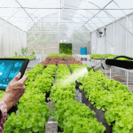 From Farm to Fork: How AI Is Building Safer Food Systems