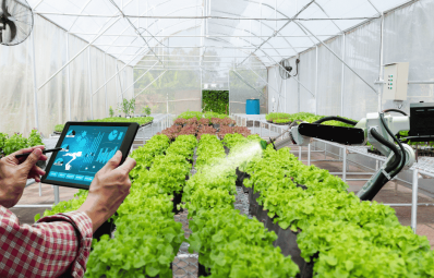 From Farm to Fork: How AI Is Building Safer Food Systems